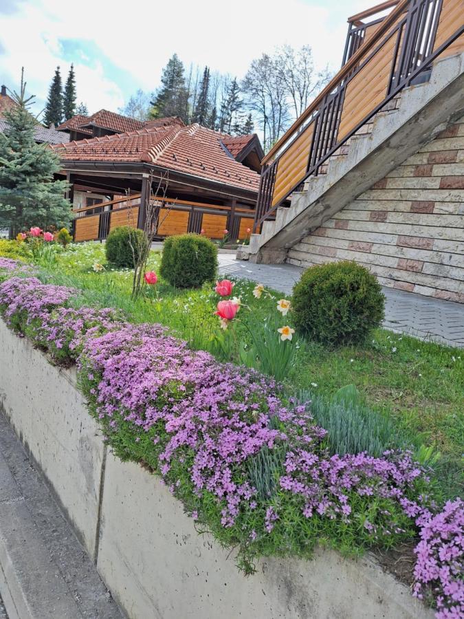 Apartments Monte Vista Zlatibor Zewnętrze zdjęcie